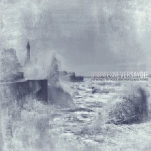 Image of No Words to Voice Our Hopes And Fears (CDR Album)