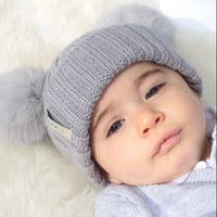 Image 2 of Pale Grey Baby Bear Pomskii