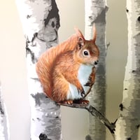 Image 4 of Red the Squirrel ~ Removable Wall sticker 