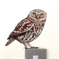 Image 1 of Oswald Little Owl ~ Removable Wall sticker