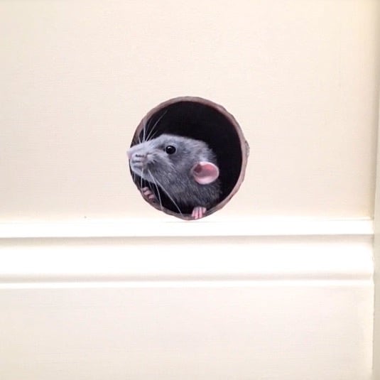 Image of Ruffalo Rat ~ Removable Wall sticker
