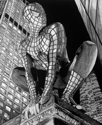 Image 1 of SPIDER-MAN