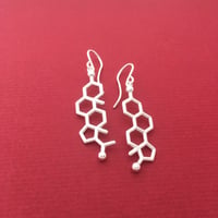 Image 2 of estrogen progesterone earrings