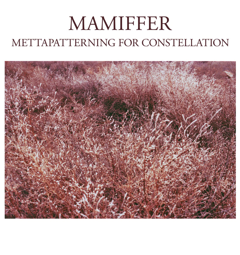 Image of Mamiffer "Mettapatterning for Constellation" LP