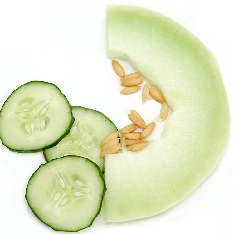 Image of Cucumber Melon