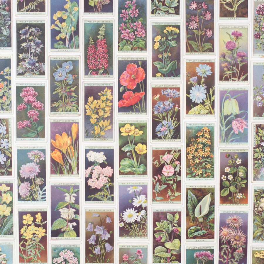 Image of Wild Flower Cigarette Cards - Set of 8