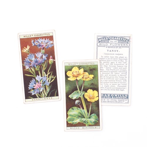 Image of Wild Flower Cigarette Cards - Set of 8