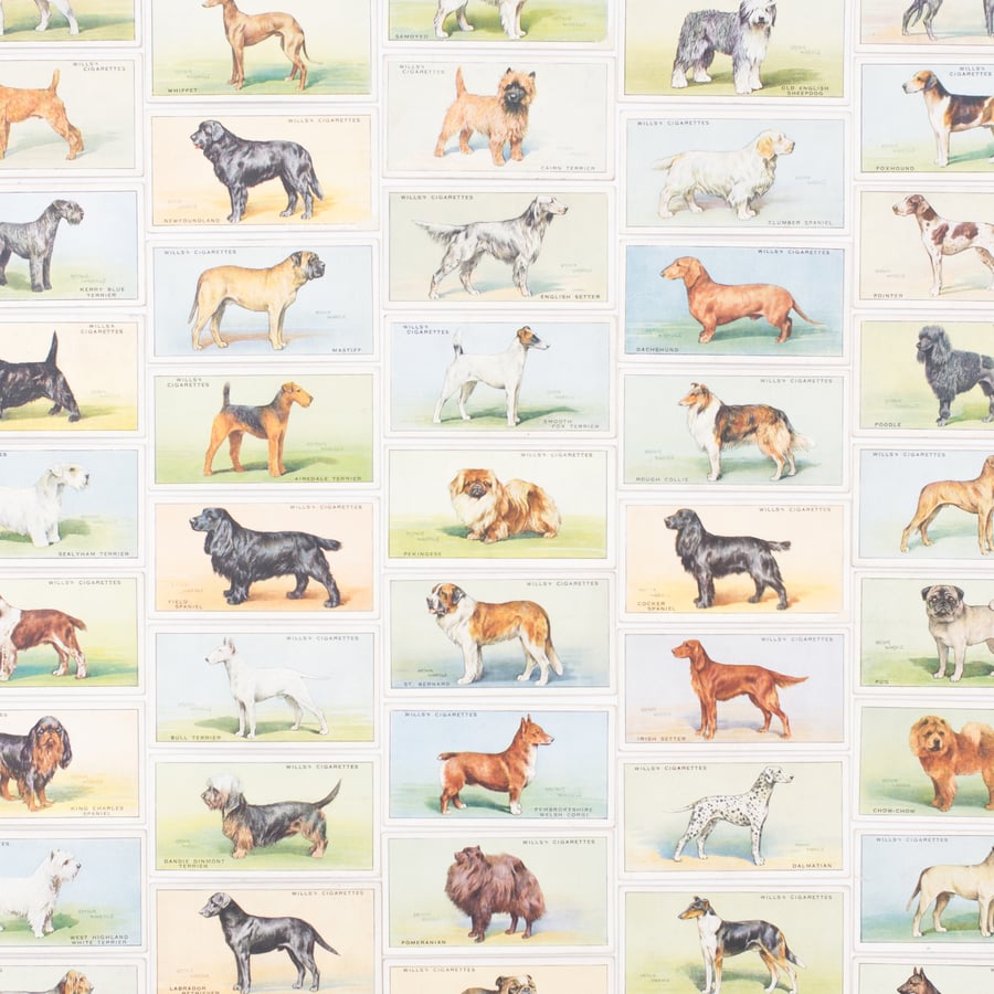 Image of Dog Cigarette Cards - Set of 8