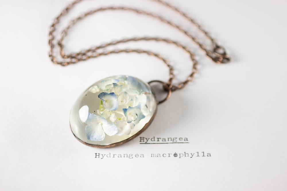 Image of Hydrangea (Hydrangea macrophylla) - Copper Plated Necklace #1