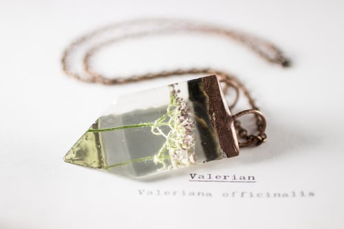 Image of Valerian (Valeriana officinalis) - Small Copper Prism Necklace #2