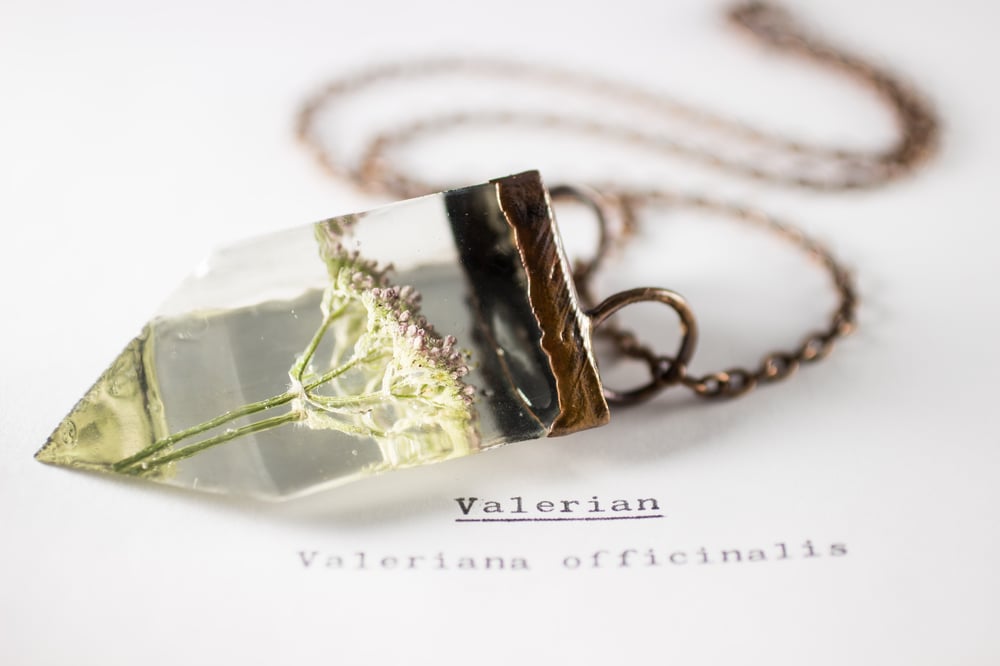 Image of Valerian (Valeriana officinalis) - Small Copper Prism Necklace #6