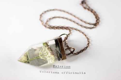 Image of Valerian (Valeriana officinalis) - Small Copper Prism Necklace #6