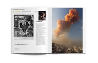 Image 4 of The Diary of an Artist in Interesting Times #53