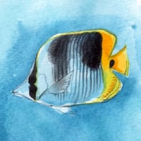 Image 4 of Original Painting - "Banc de poissons papillons à deux selles" - 21x30 cm