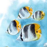 Image 2 of Original Painting - "Banc de poissons papillons à deux selles" - 21x30 cm