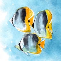 Image 3 of Original Painting - "Banc de poissons papillons à deux selles" - 21x30 cm