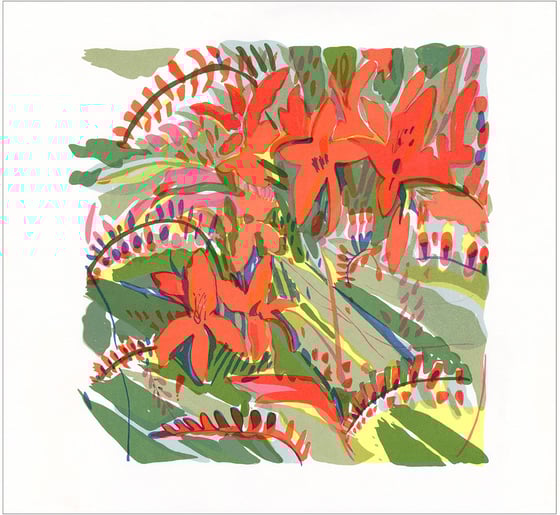Image of Crocosmia Lucifer screen print