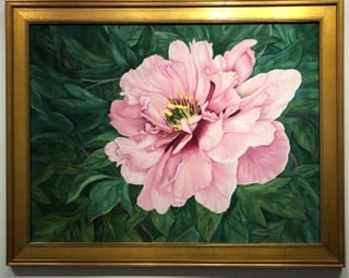 Image of Pink Peony