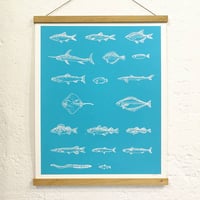 Image 1 of POISSONS DE BURNS <br>(art-print)
