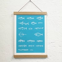 Image 2 of POISSONS DE BURNS <br>(mini-/midi-print)