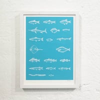 Image 3 of POISSONS DE BURNS <br>(mini-/midi-print)