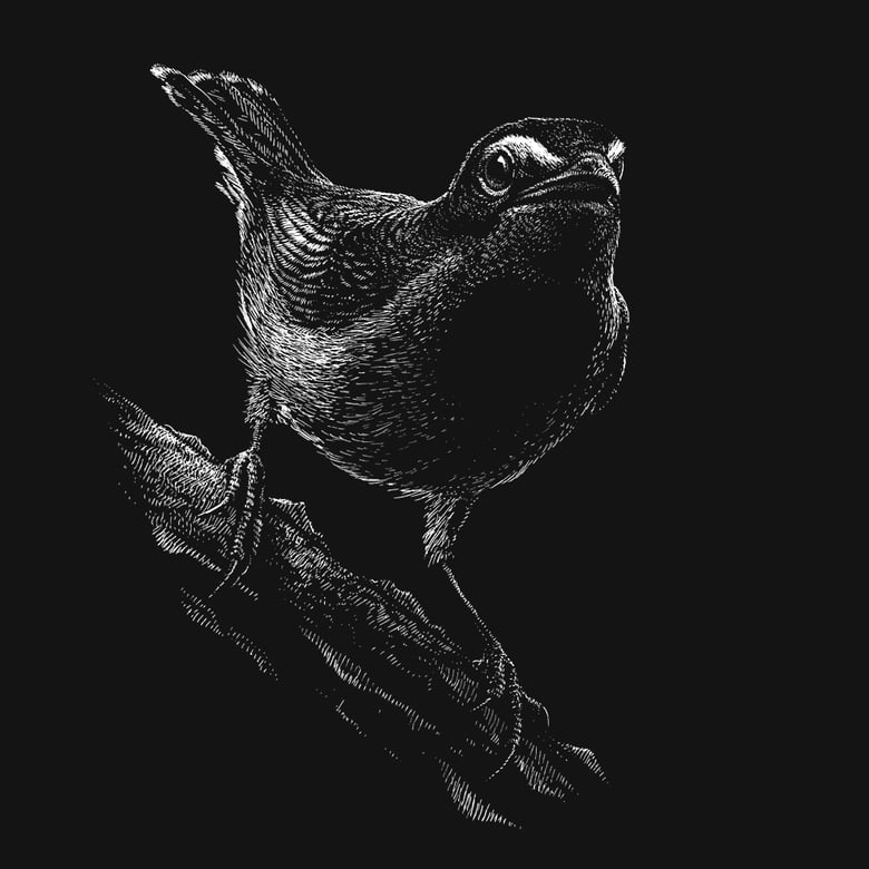 Image of »Bird #1« Screen Print