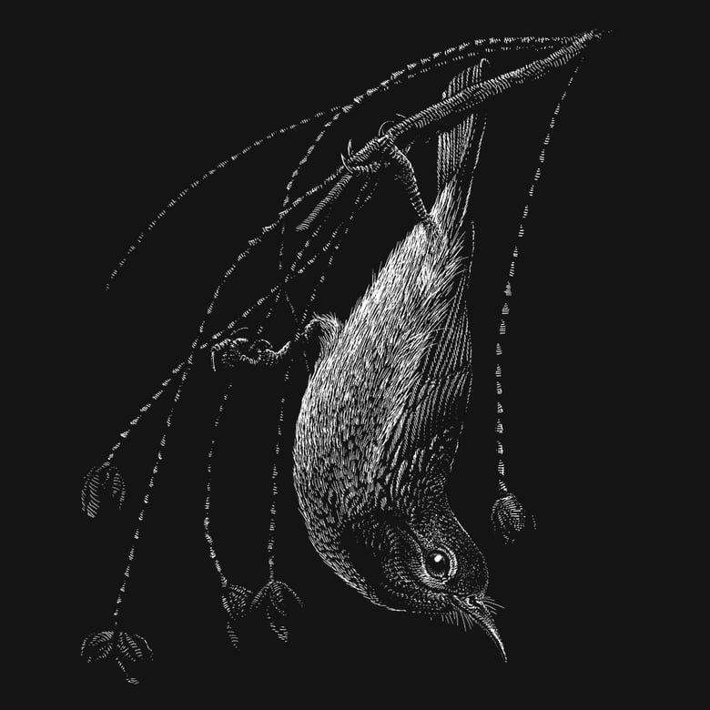 Image of »Bird #4« Screen Print