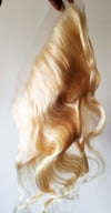 613 FRONTALS