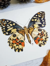 Image 5 of Lime Butterfly Watercolor Illustration PRINT 