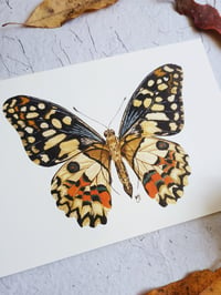 Image 6 of Lime Butterfly Watercolor Illustration PRINT 