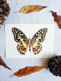 Image 4 of Lime Butterfly Watercolor Illustration PRINT 