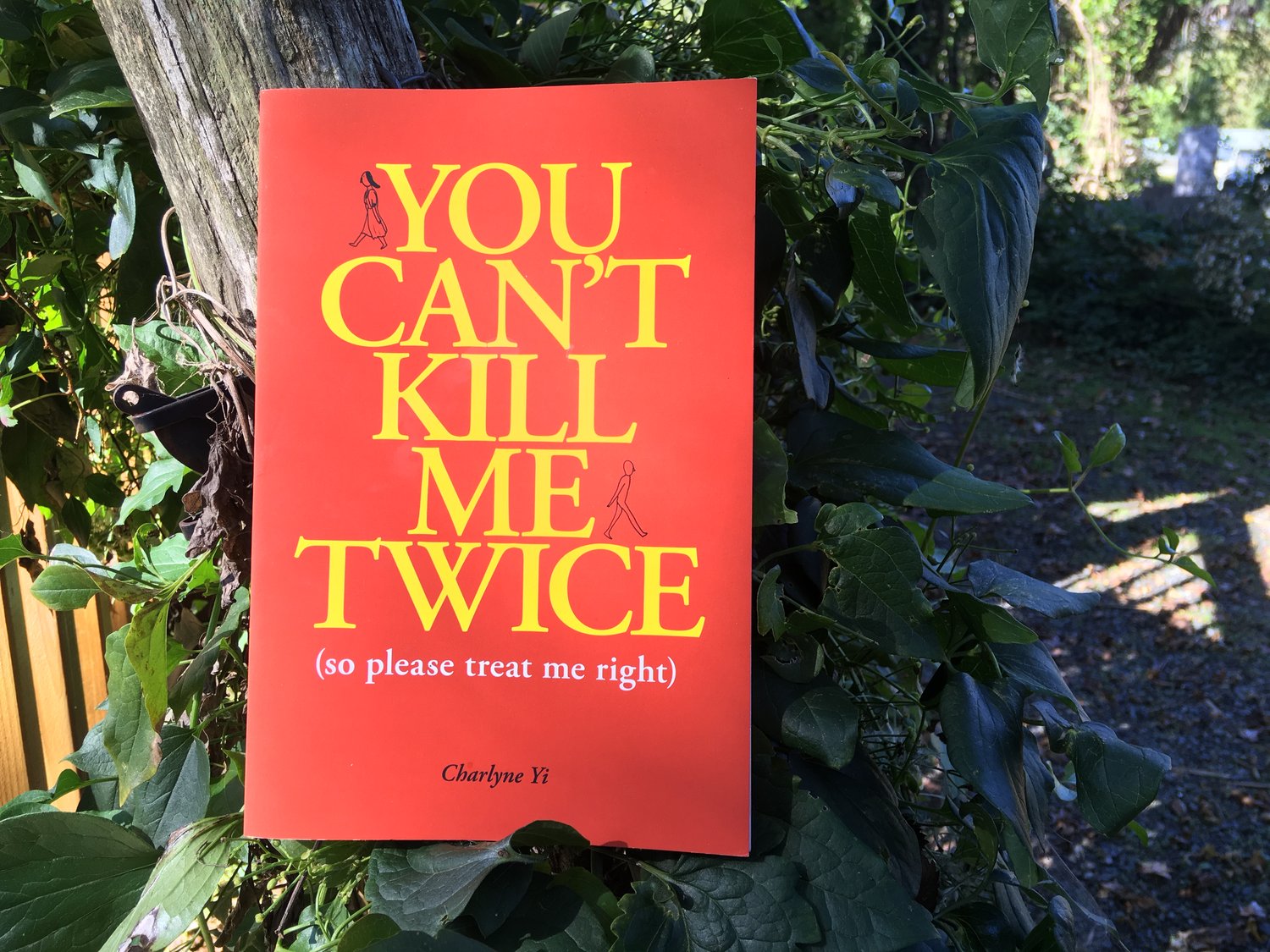 You Can't Kill Me Twice (illustrated poetry book)