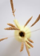 Image 3 of Shura Vase - Chartreuse