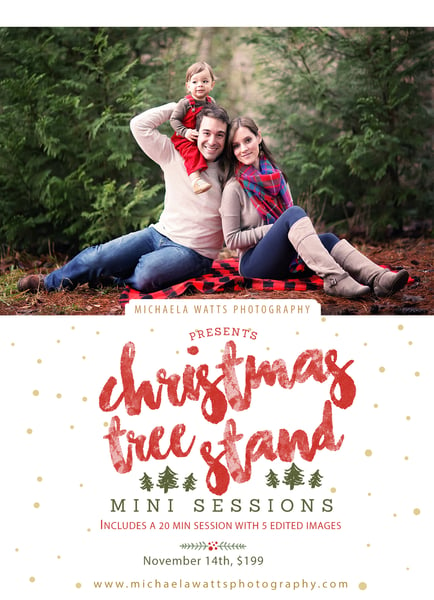 Image of Christmas Mini Session retainer fee