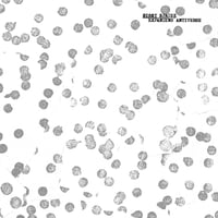 Sissy Spacek - "Expanding Antiverse" CD