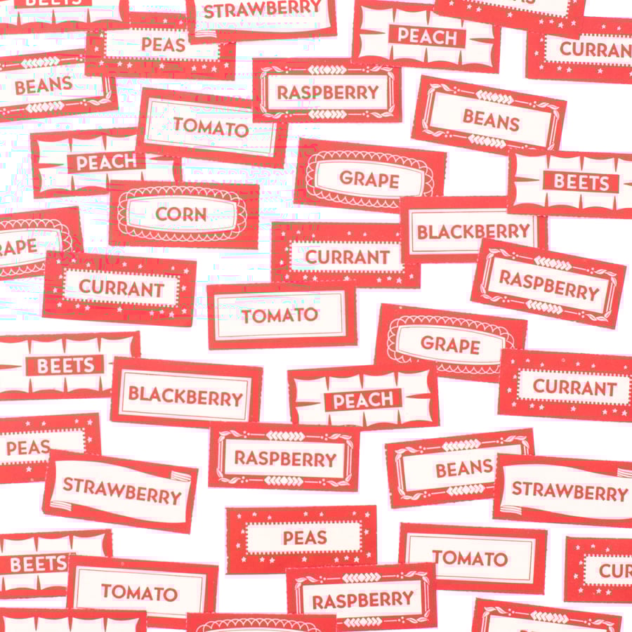 Image of Red Canning Labels - Set of 12