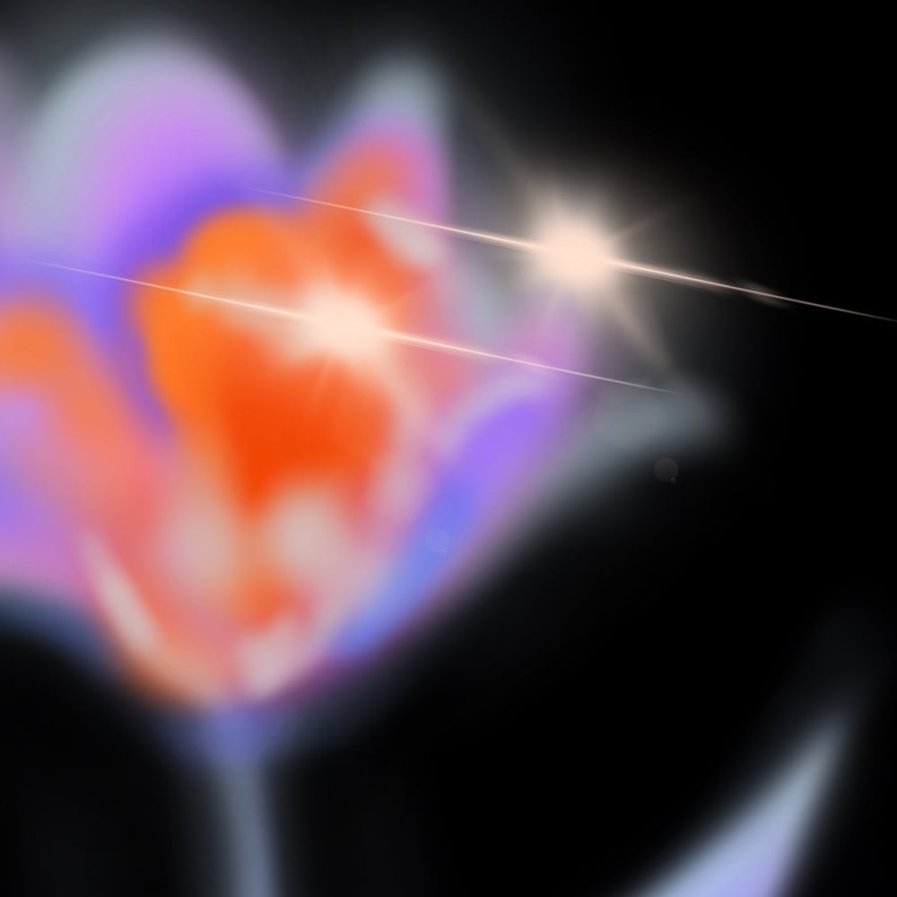 Image of INSPIRADA POR UN TULIPÁN