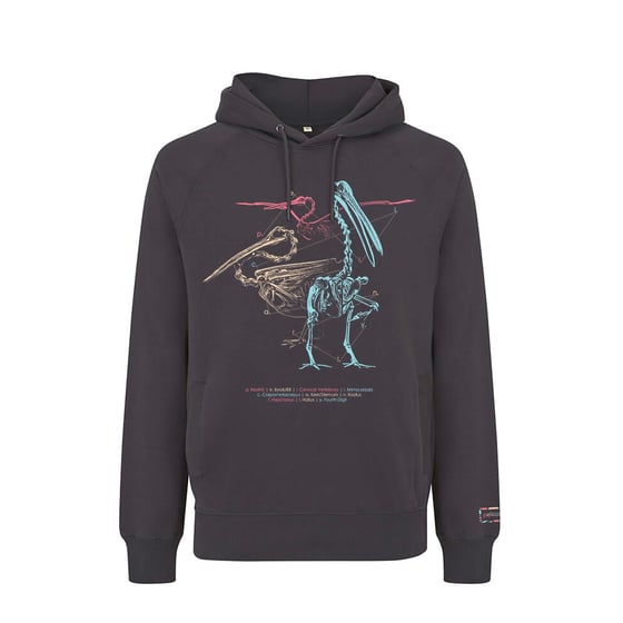 Image of Pelicanus Universalis Hoodie 