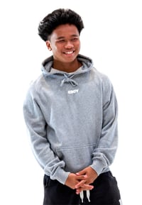 Image 3 of DEDA MENS GREY HOODIE WHITE LOGO