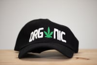 Image 2 of VJ ORGANIC DAD HAT