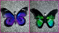 Image 2 of Butterfly Necklaces 🦋