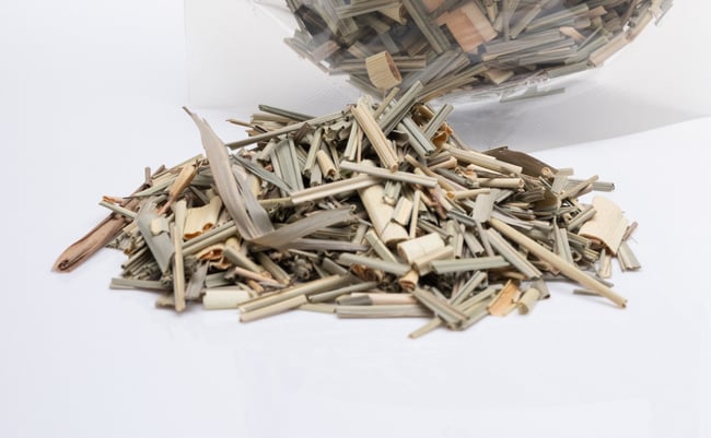 Lemongrass aka Fevergrass