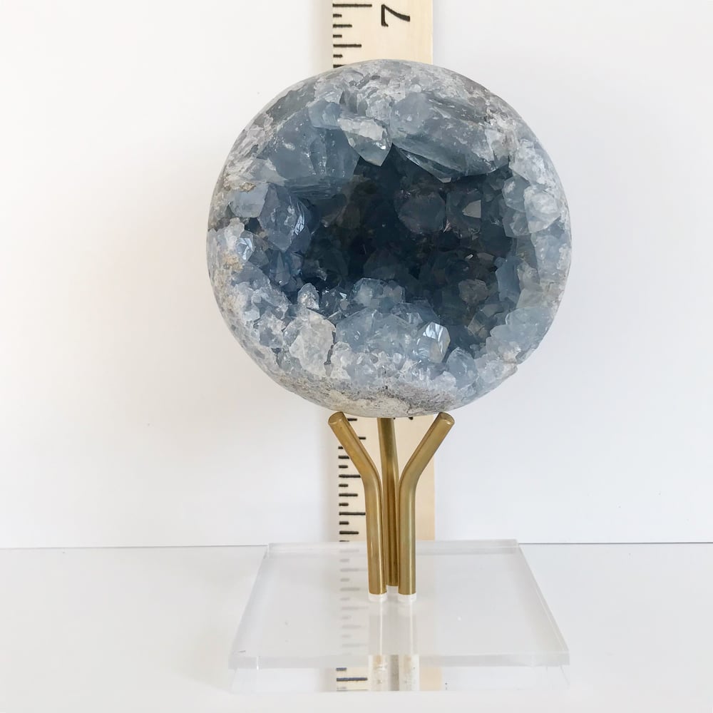 Image of Celestite no.10 + Three Prong Lucite and Brass Stand