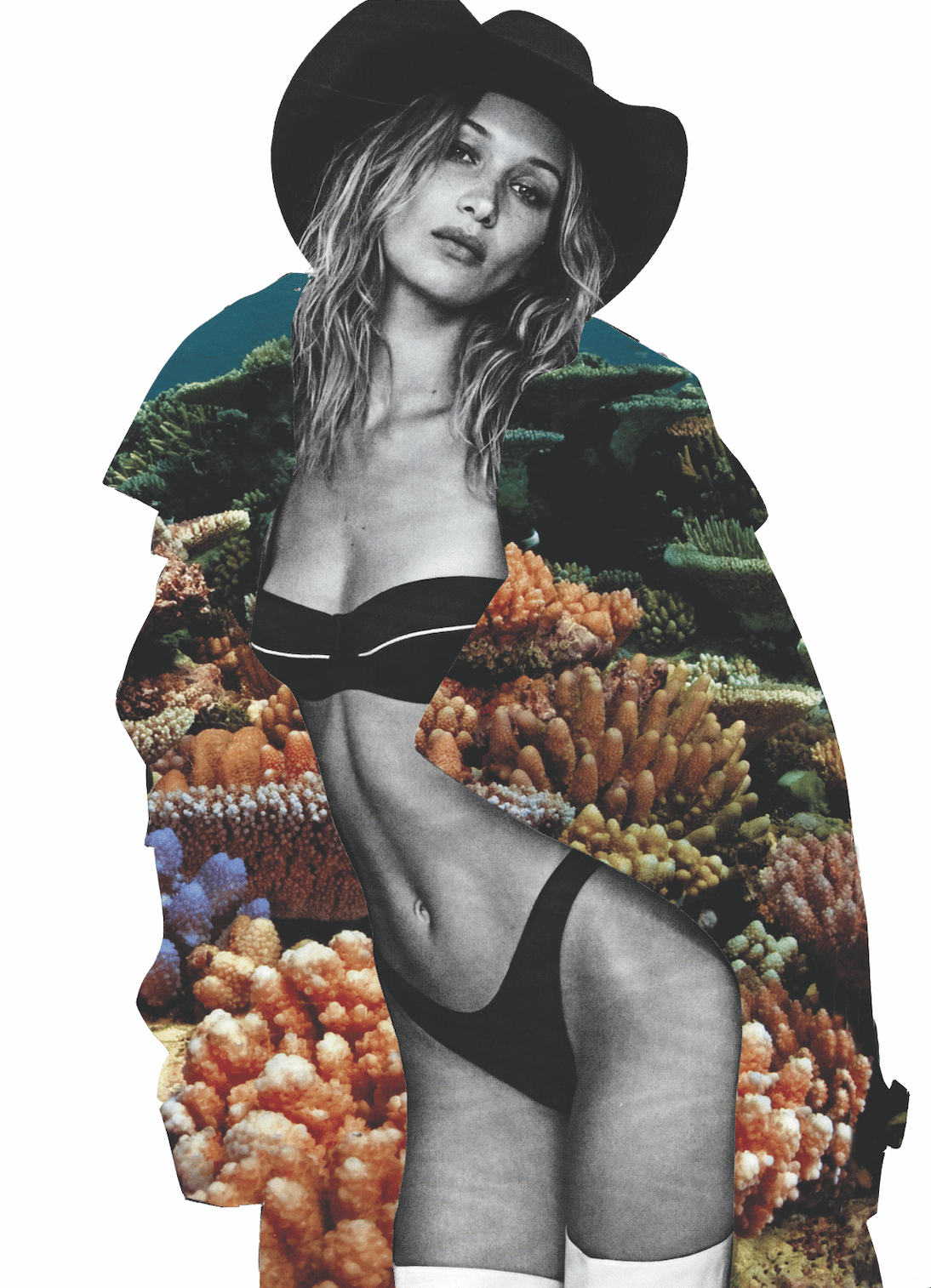 Image of Bella 1