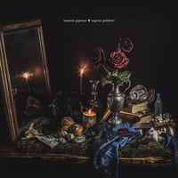 Carmelo Pipitone - "Segreto Pubblico"