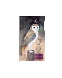 Barn Owl Archival Inkjet Print