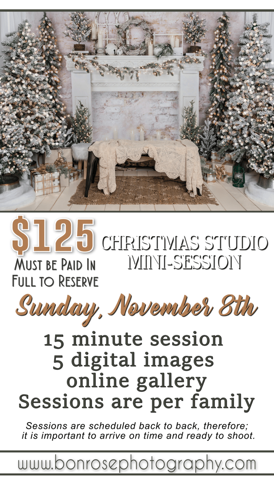 Image of Christmas Studio Mini Session