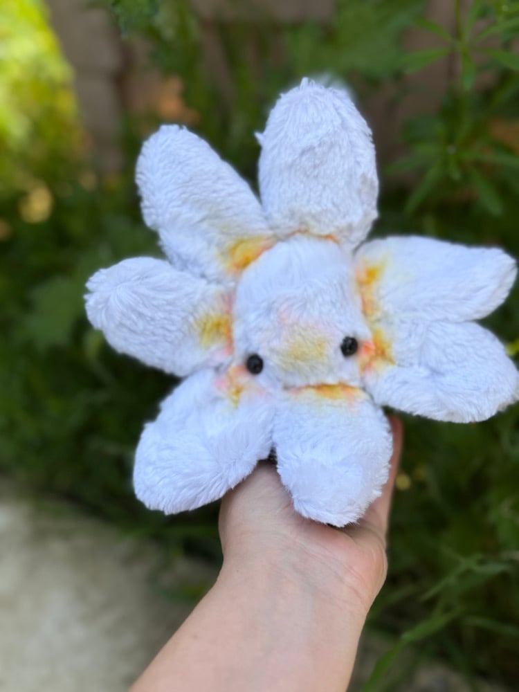 Image of plumeria