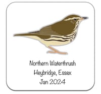 Image 3 of Northern Waterthrush - No.106 - UK Birding Pins - Enamel Pin Badge