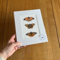 Image 4 of Butterfly Collection Giclee Print - Various Designs